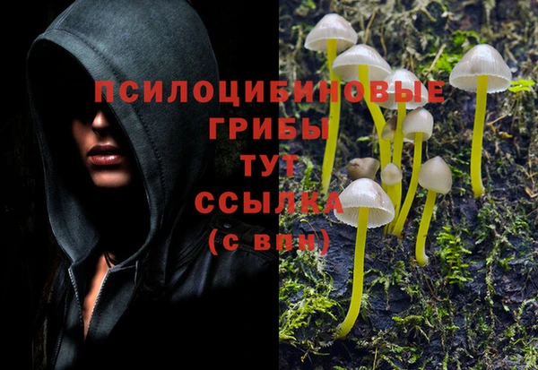экстази Кодинск